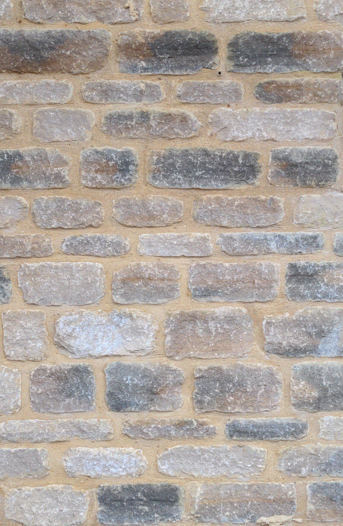 IMG-20231213-WA0009-cropped-for-website